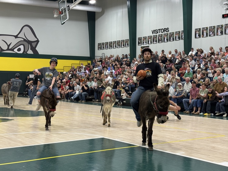 donkey basketball