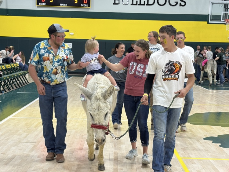 donkey basketball