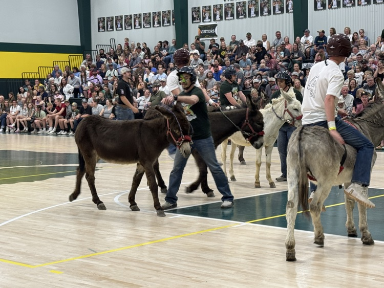 donkey basketball