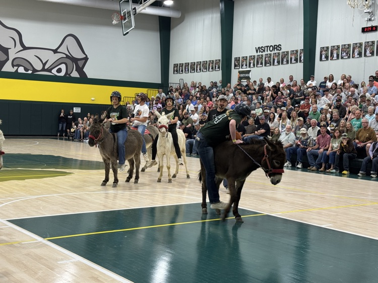 donkey basketball