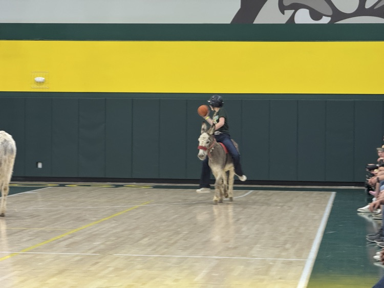 donkey basketball
