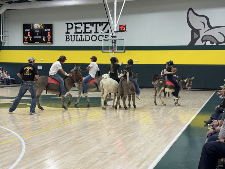 donkey basketball