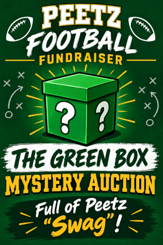 Silent auctin post for Green box