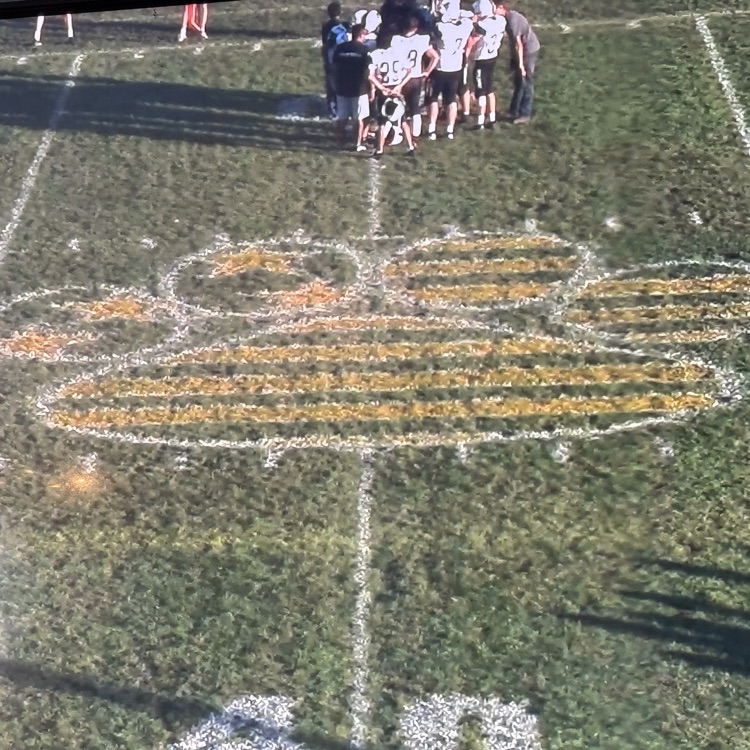 bulldog field