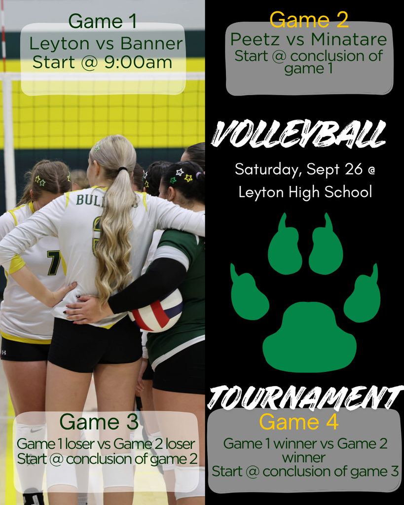 Tournament schedule