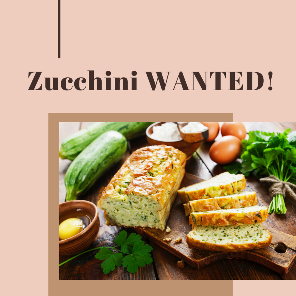 zucchini wanted