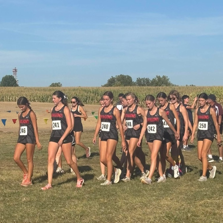 girls cross country varsity team