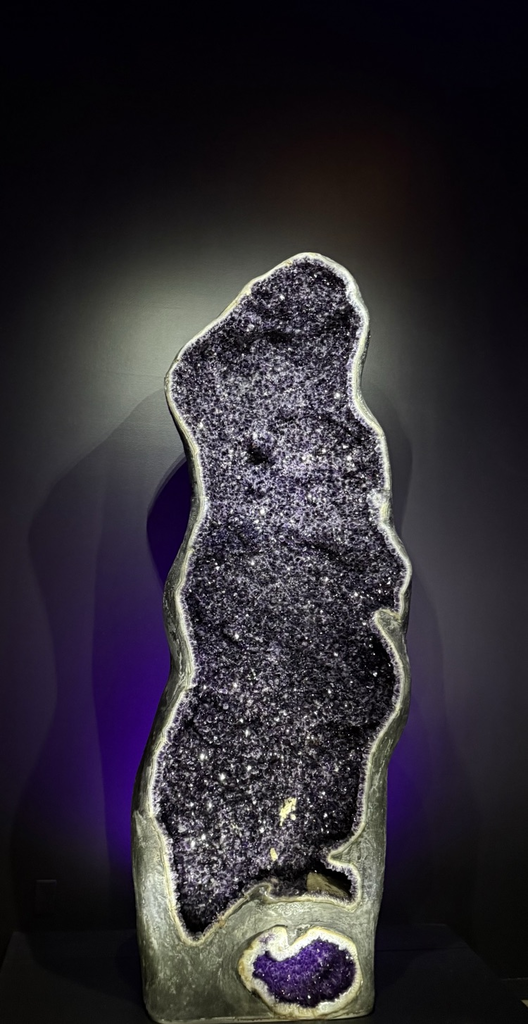 Photo taken by a student