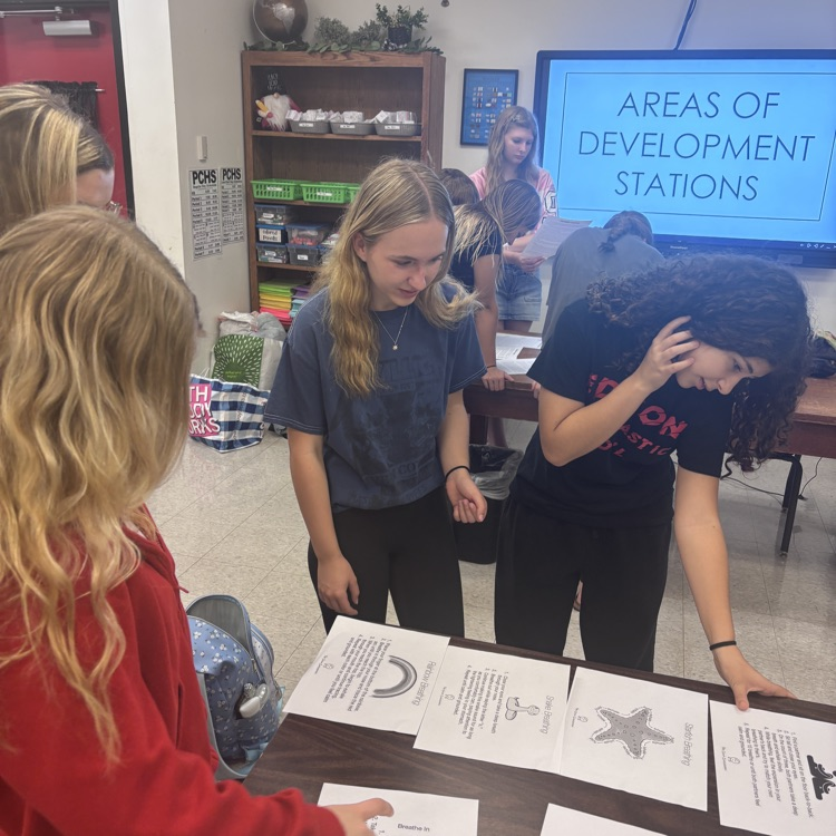 Emotional Development 