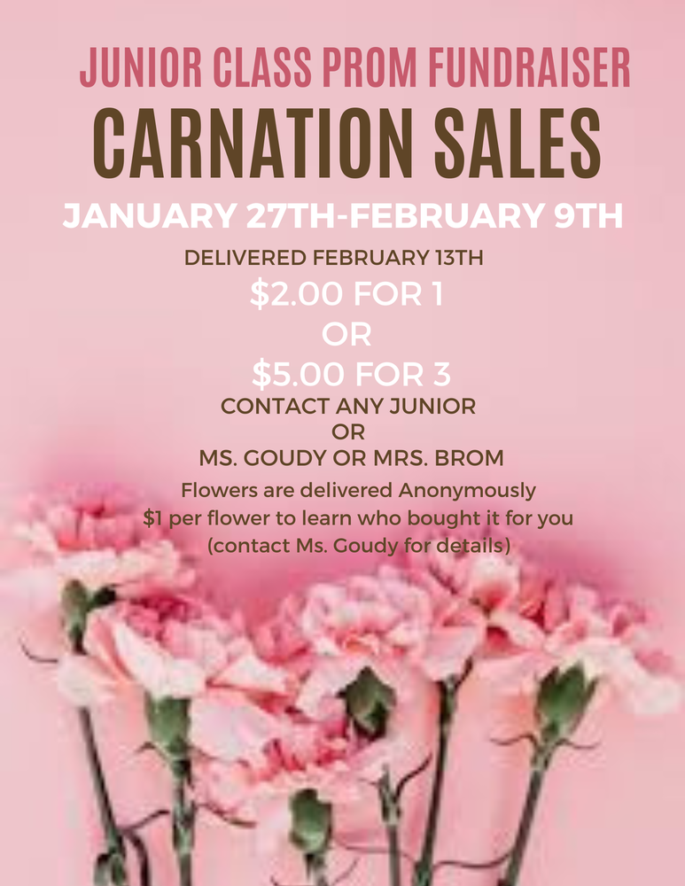 Jr. Class Prom Fundraiser