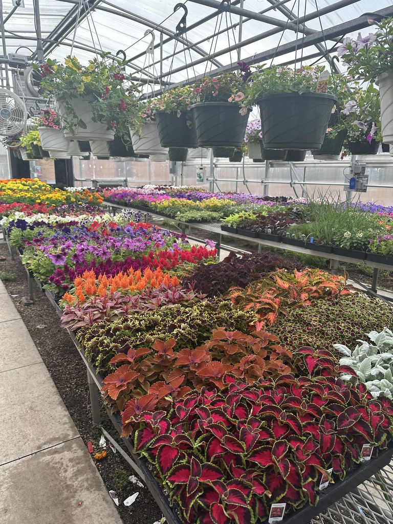 FFA Greenhouse
