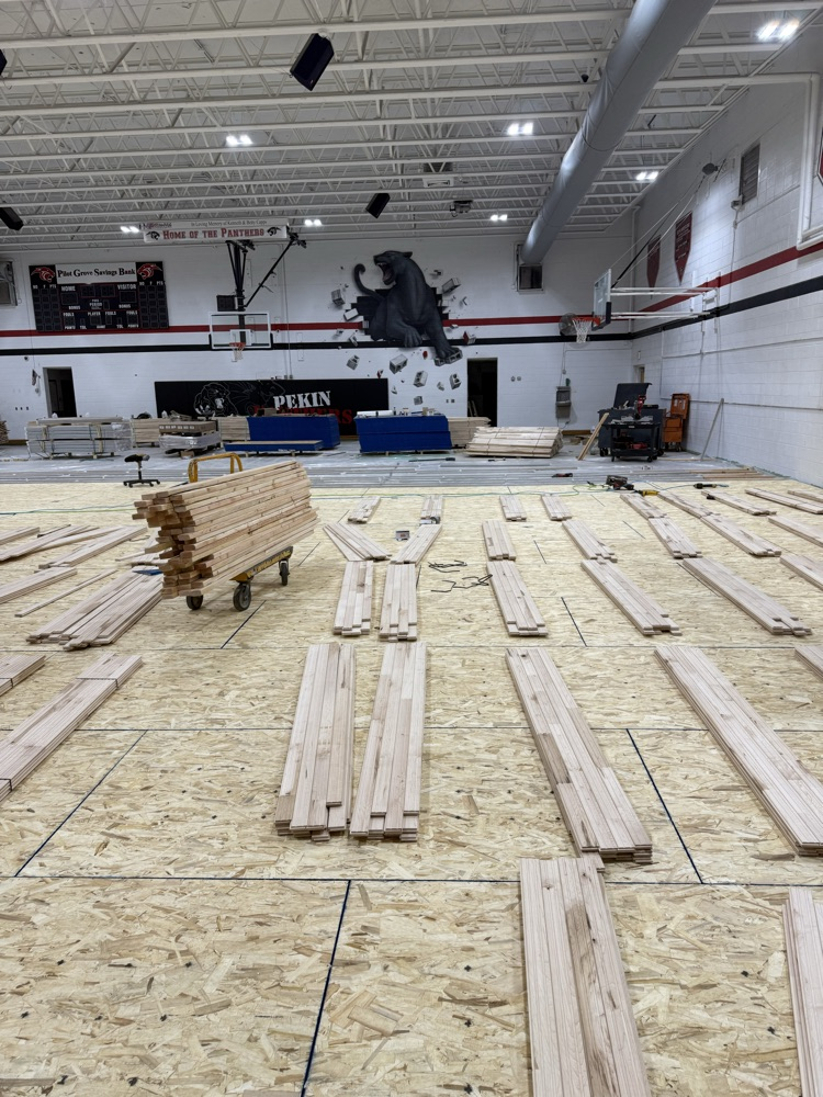 New gym floor coming along