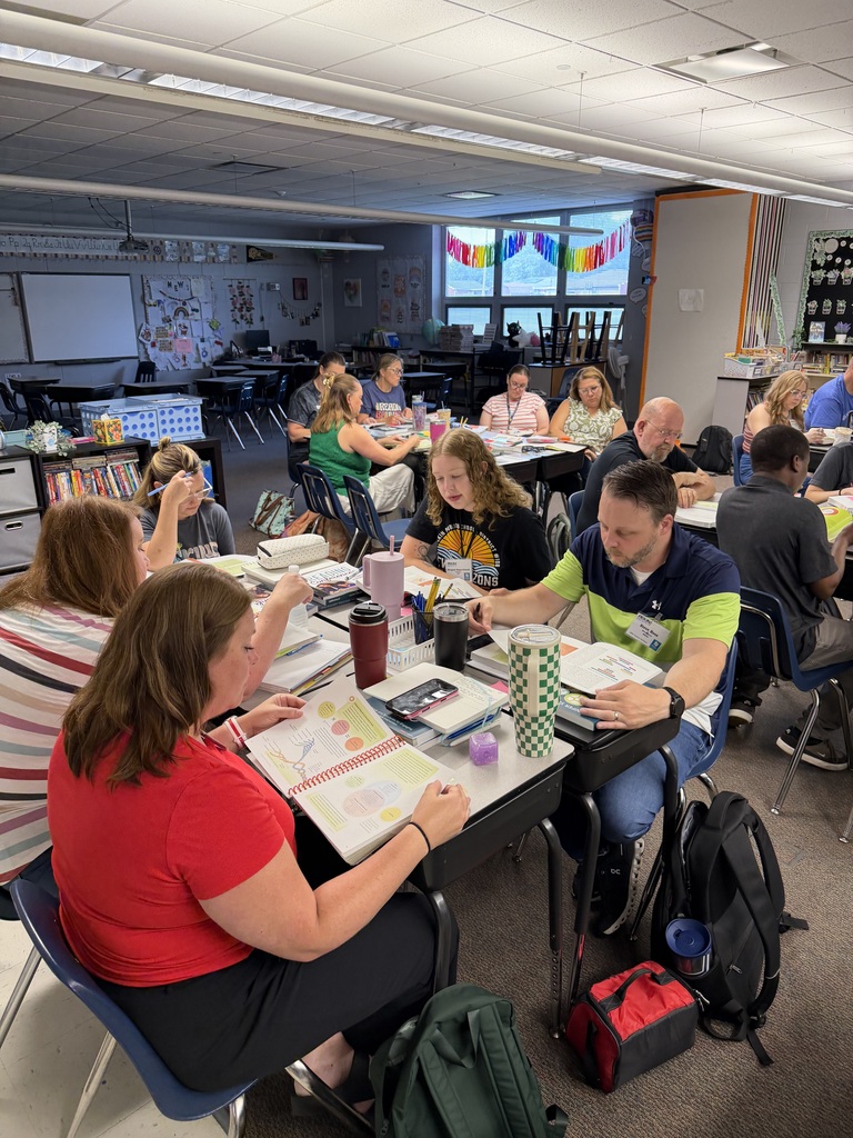 Teachers collaborating