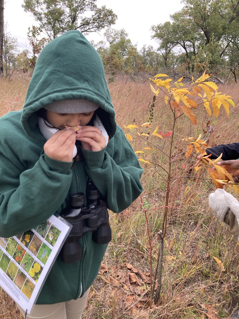 Mighty Acorns Field Trip 