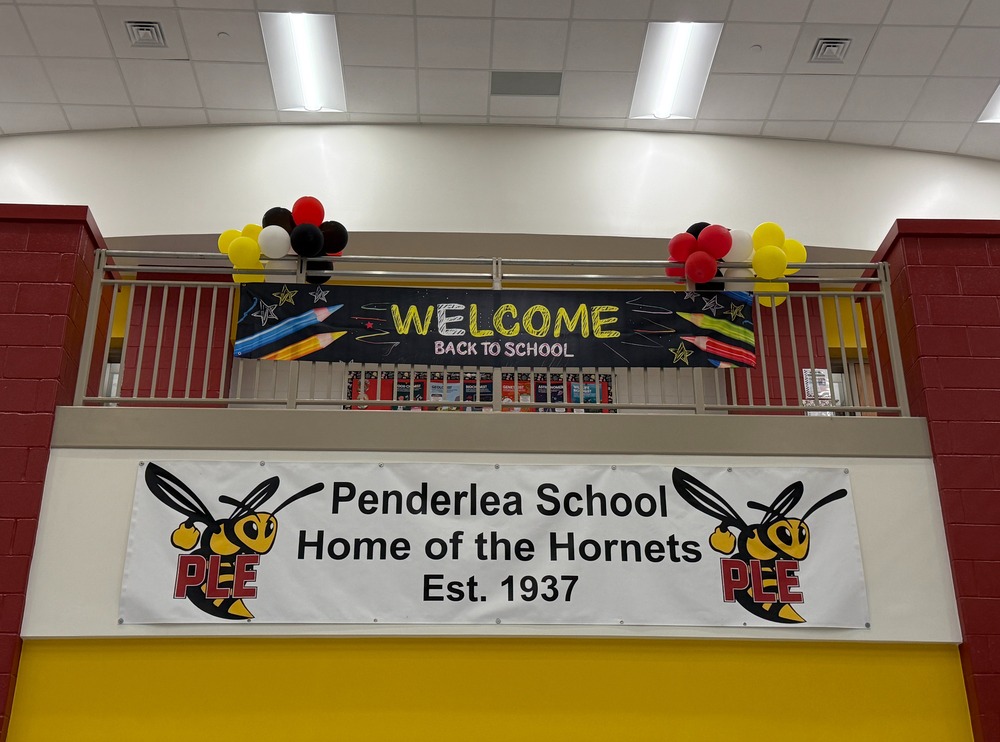 PLE Home of the Hornets SIgn