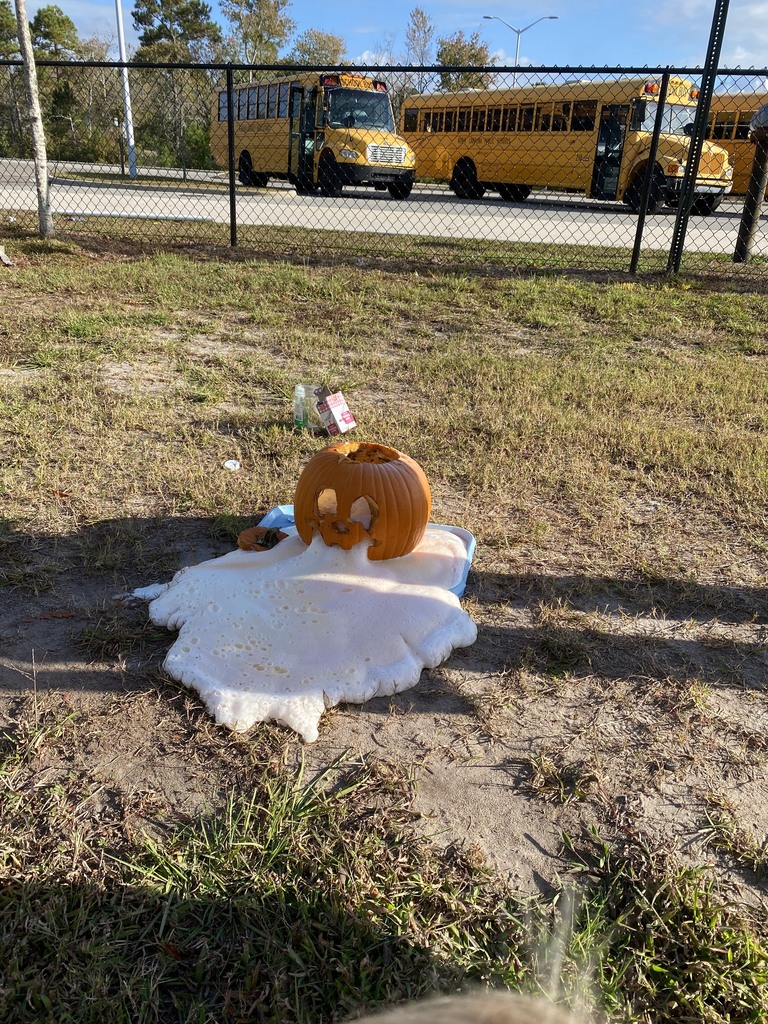 PreK kids doing a pumpkin experiment