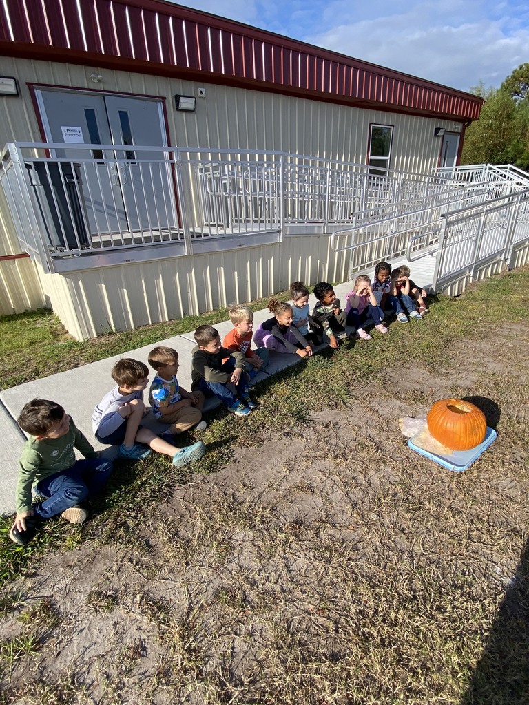 PreK kids doing a pumpkin experiment