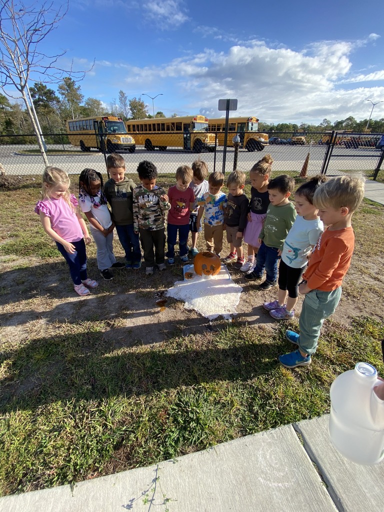 PreK kids doing a pumpkin experiment