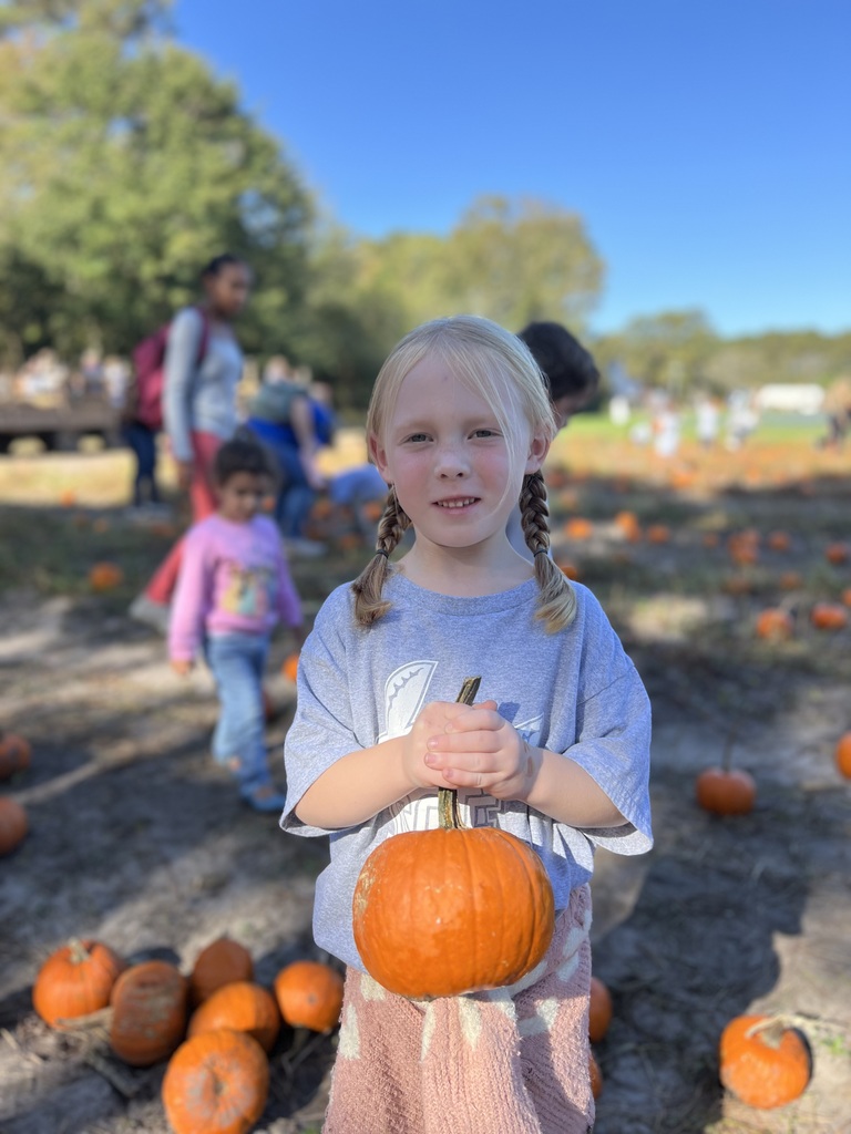 Kinderagarten at Mikes Farm