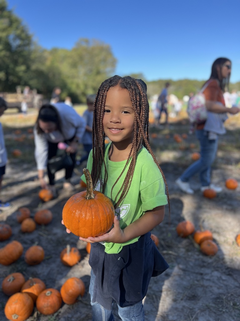 Kinderagarten at Mikes Farm