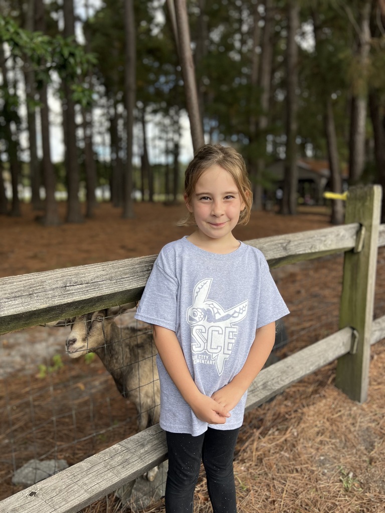 Kinderagarten at Mikes Farm
