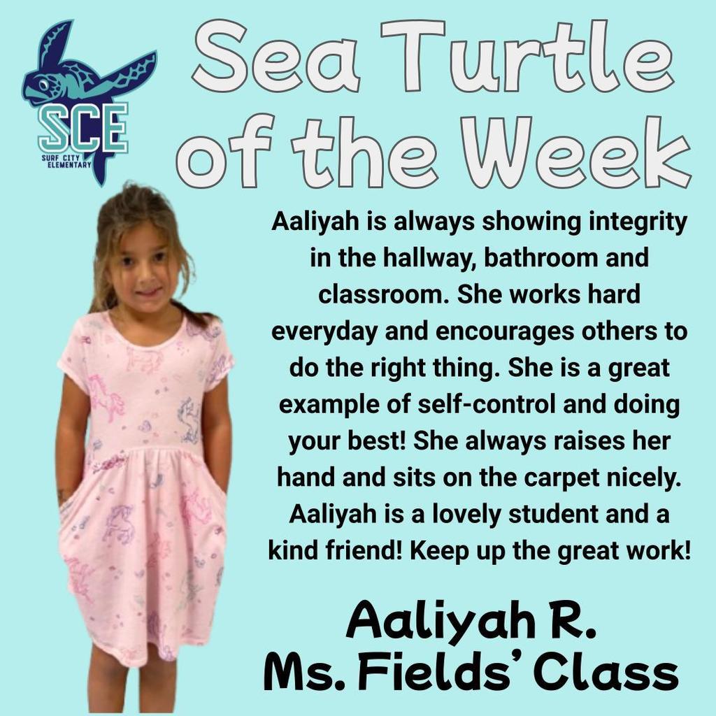 sea turtle of the week announcement