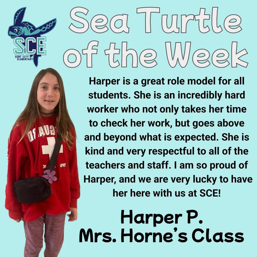sea turtle of the week announcement