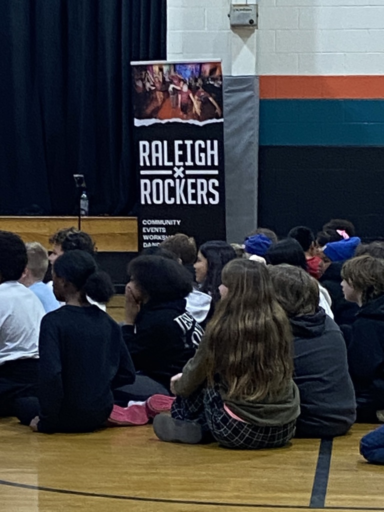 Raleigh Rockers