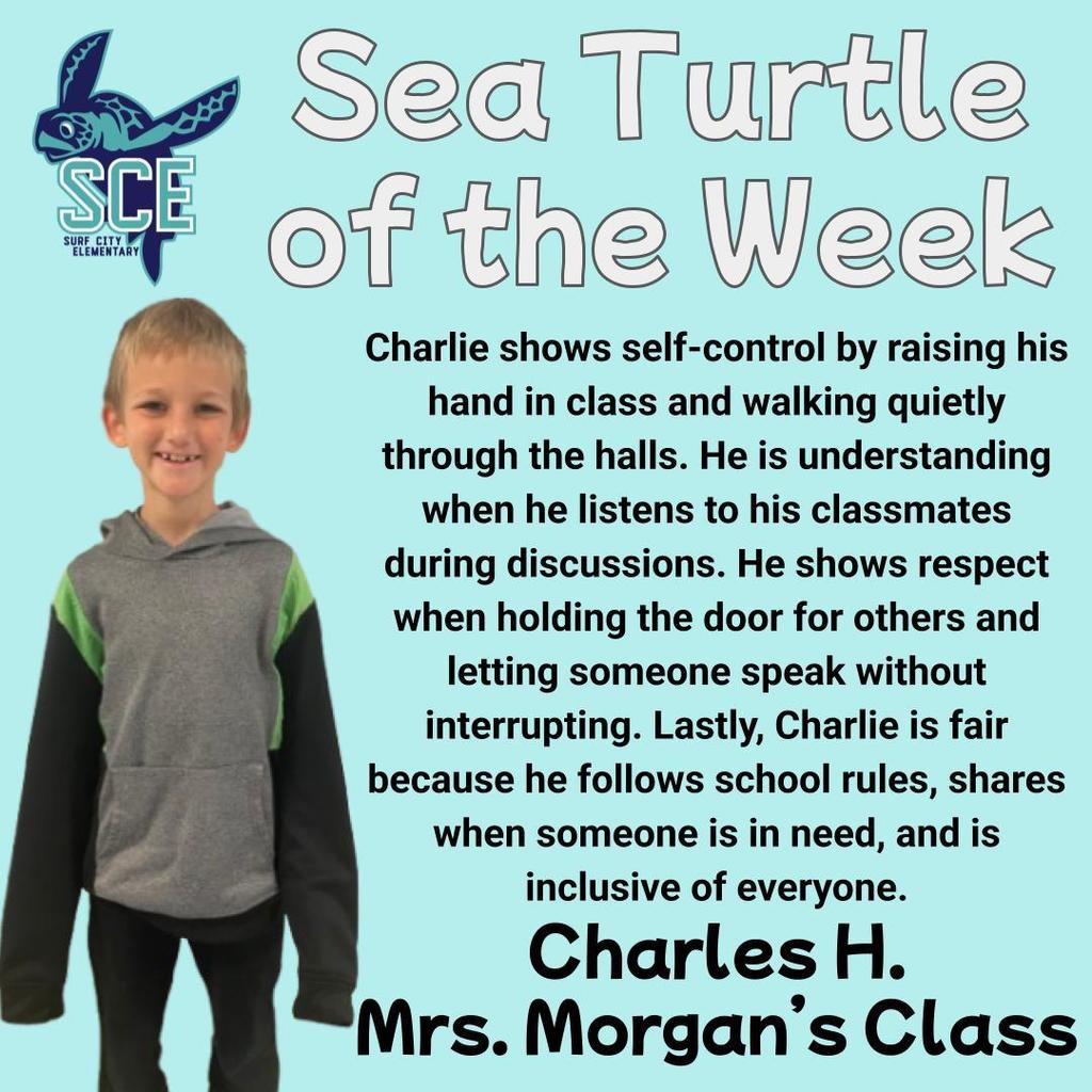 sea turtle of the week announcement