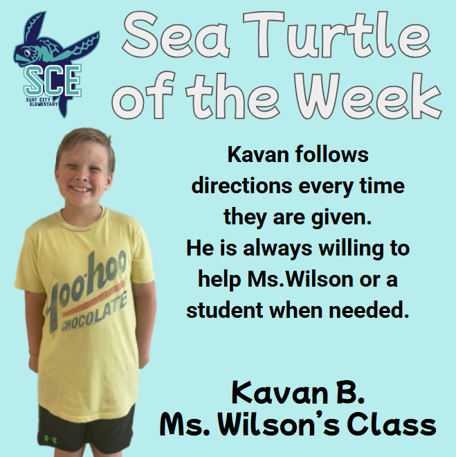 sea turtle of the week announcement