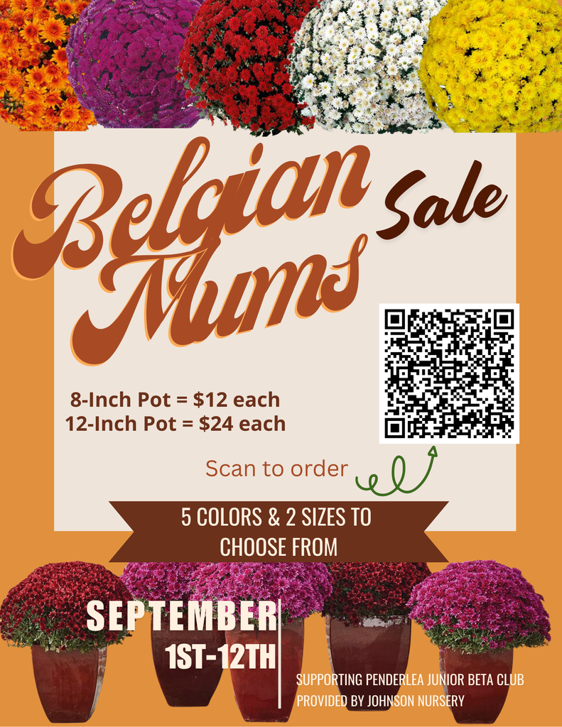 Beta Fundraiser