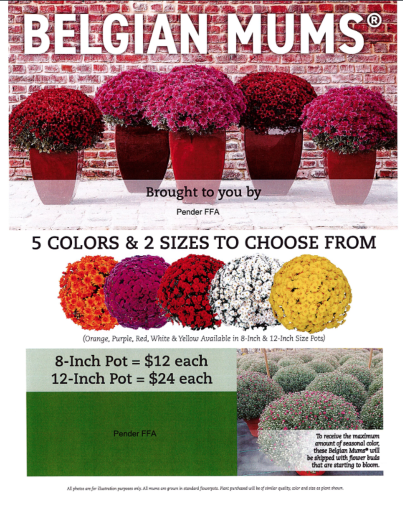 FFA mum sale
