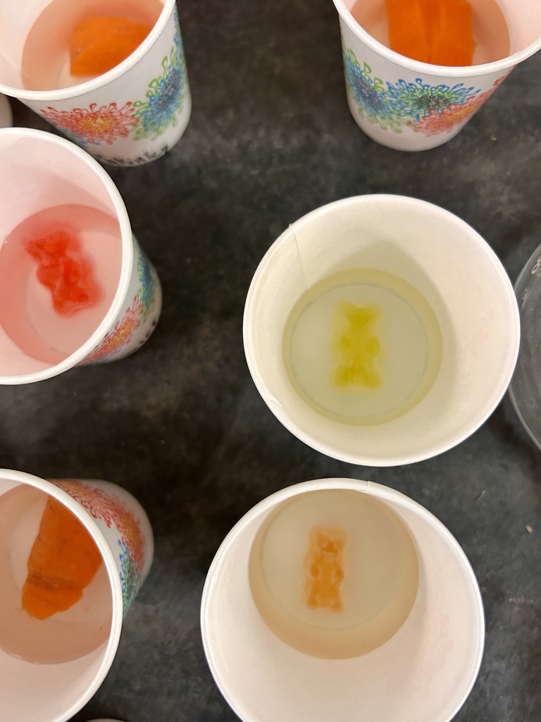 gummy bears in solution
