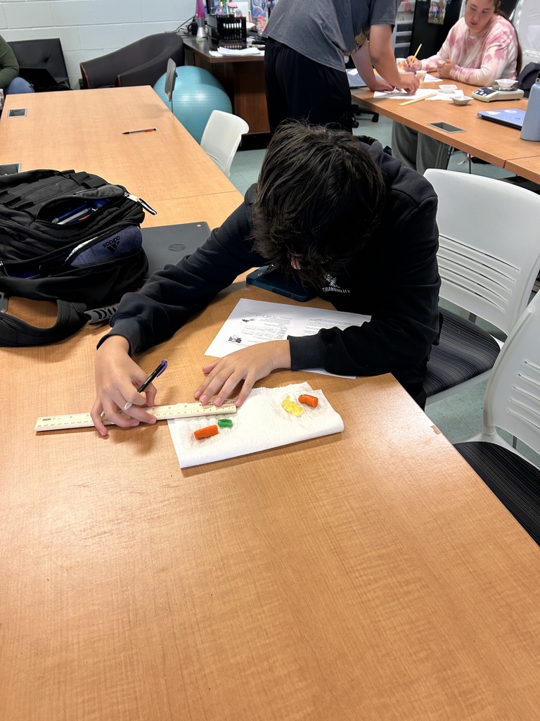 student records data