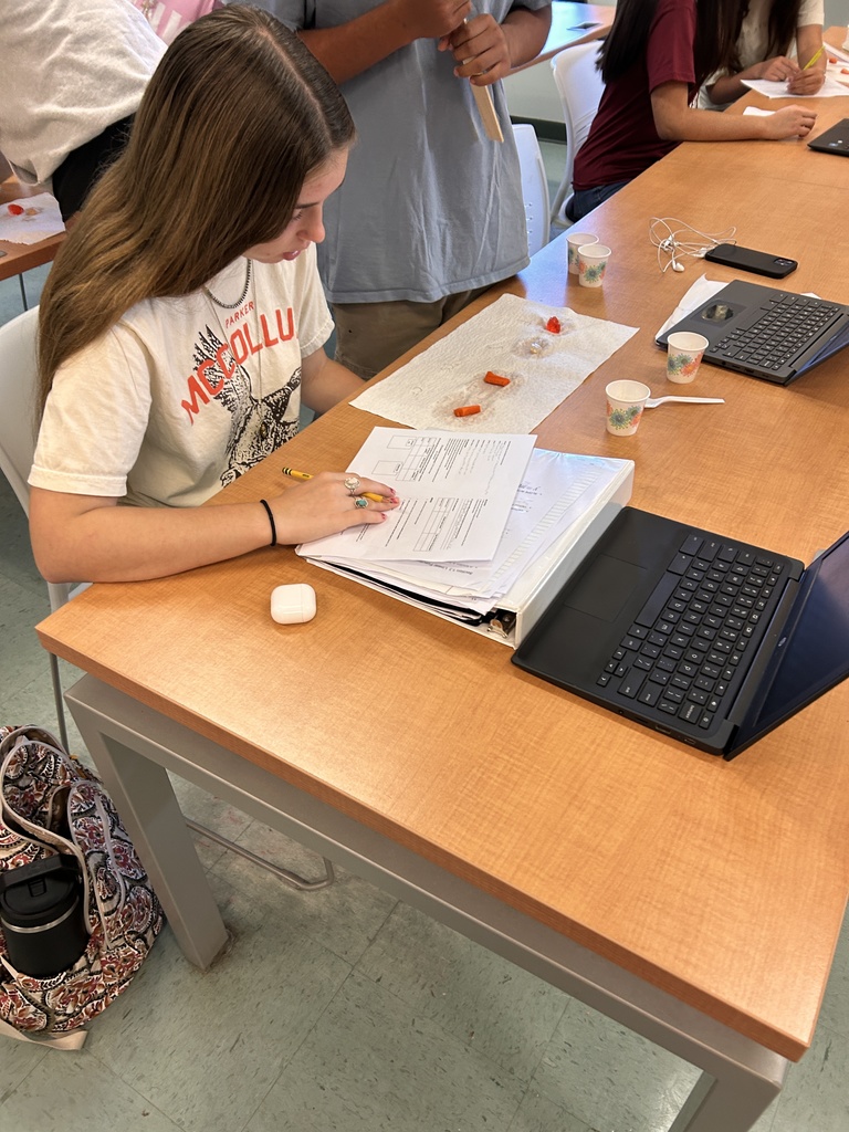 student records data