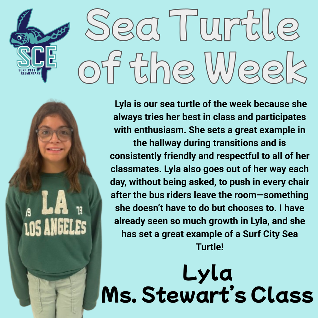 sea turtle of the week announcement