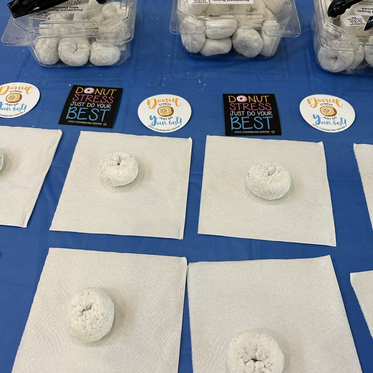 CFCC Donut Stress at PECHS