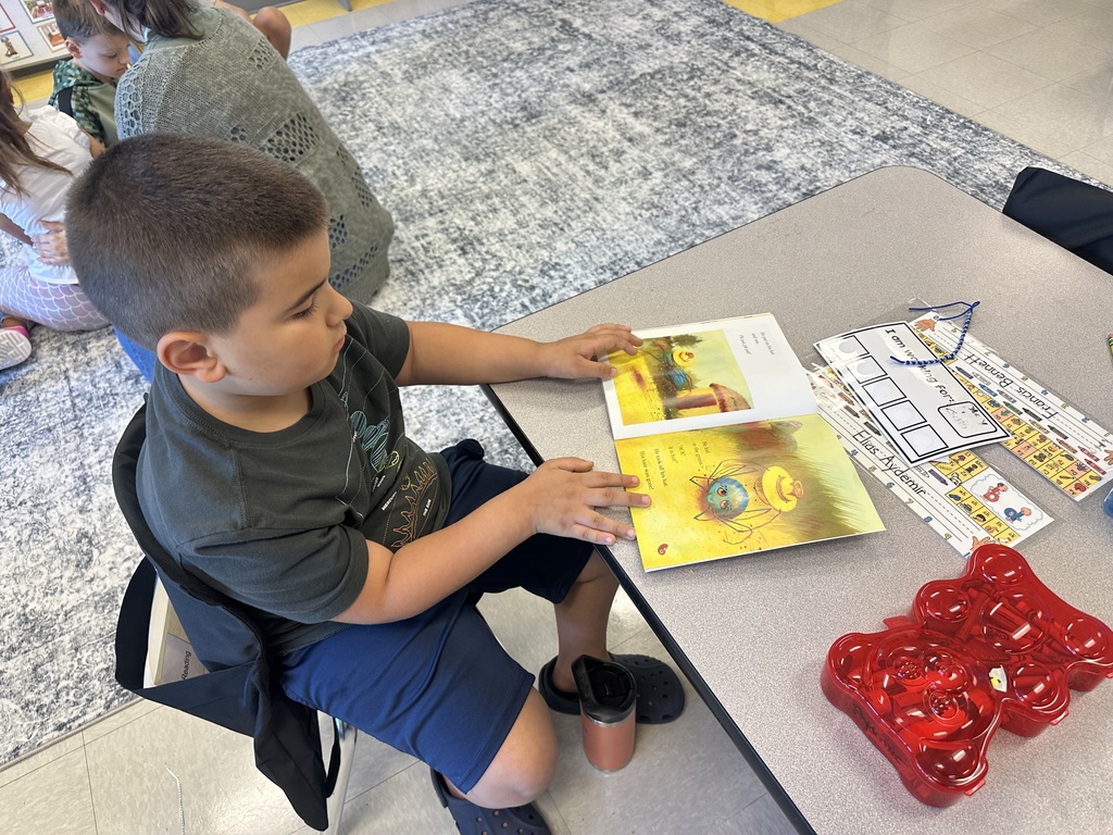 1st grader looking at a book