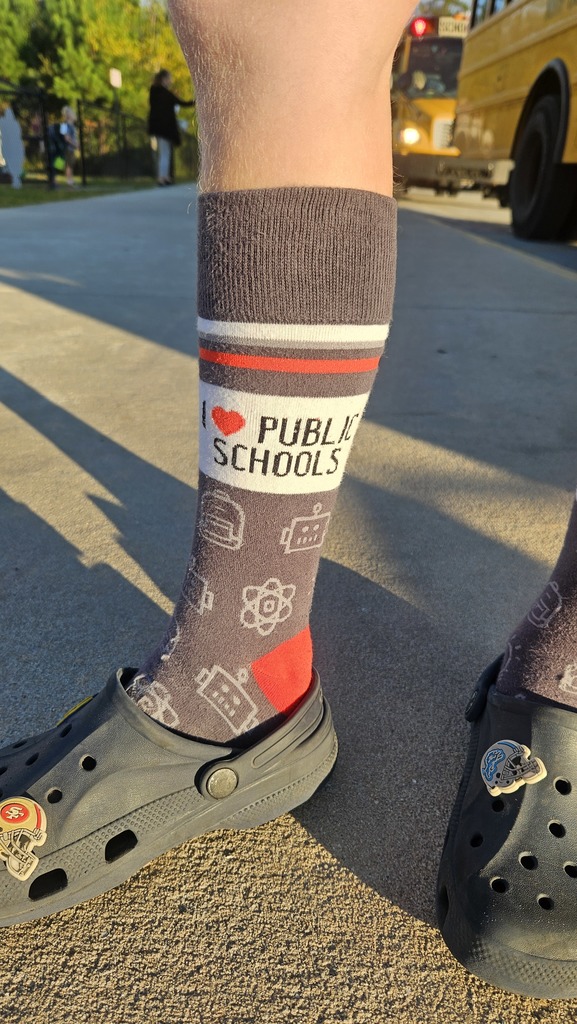 boys leg wearing I love public schools socks