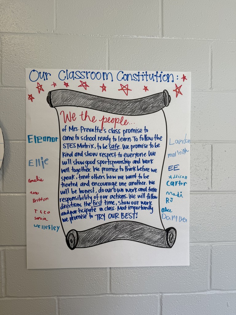 constitution