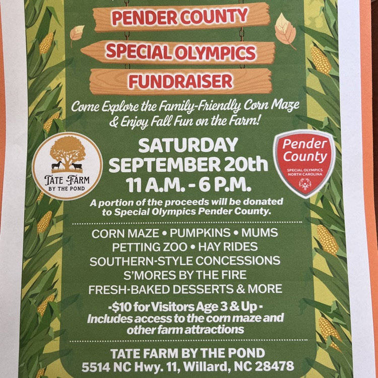 flyer