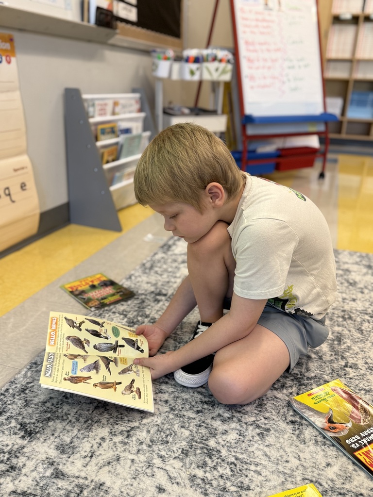 1st graders working in their classroom