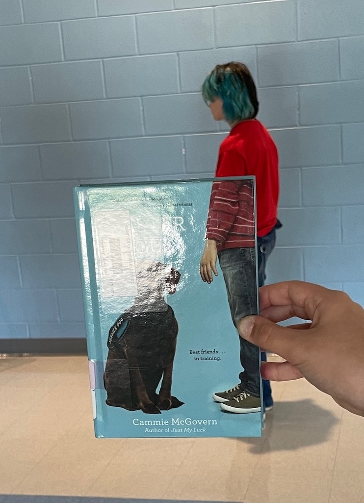 bookfacefriday