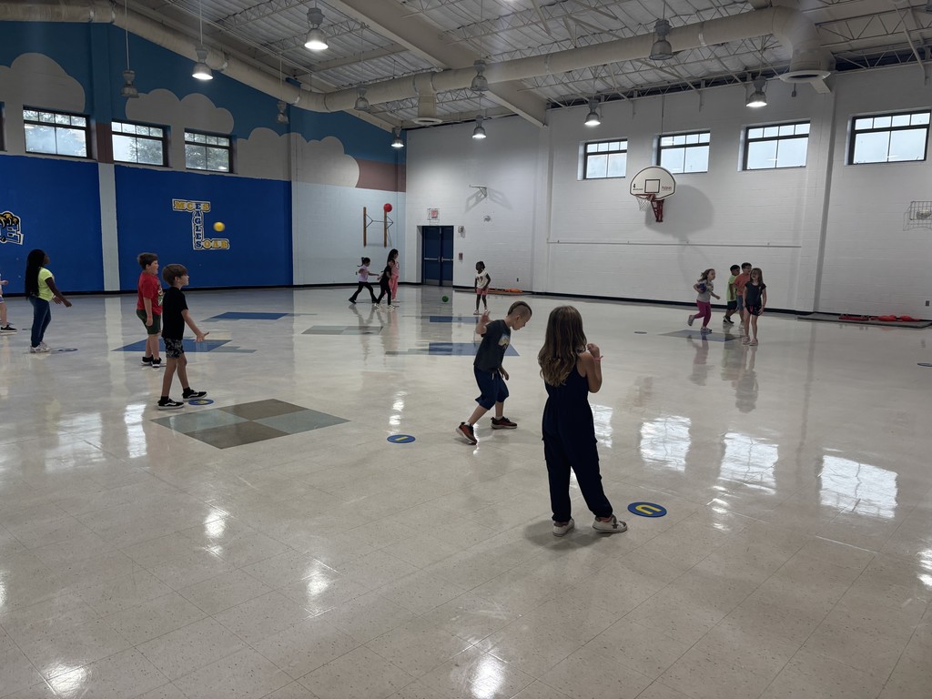 PE