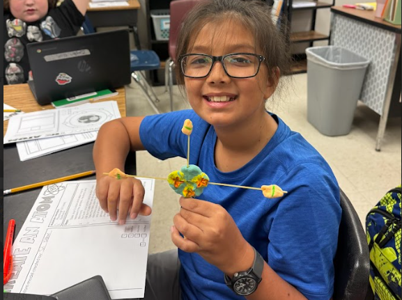  6th Science