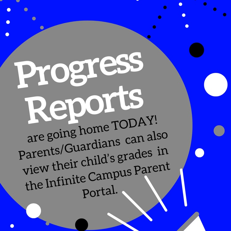 progress reports 