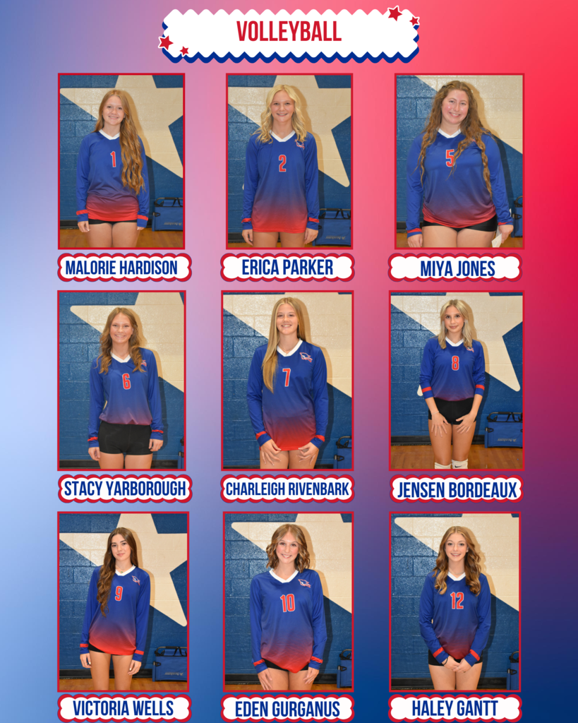 vball