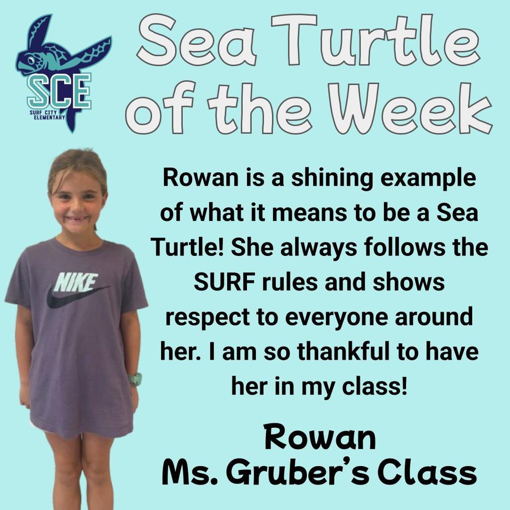 sea turtle of the week announcement