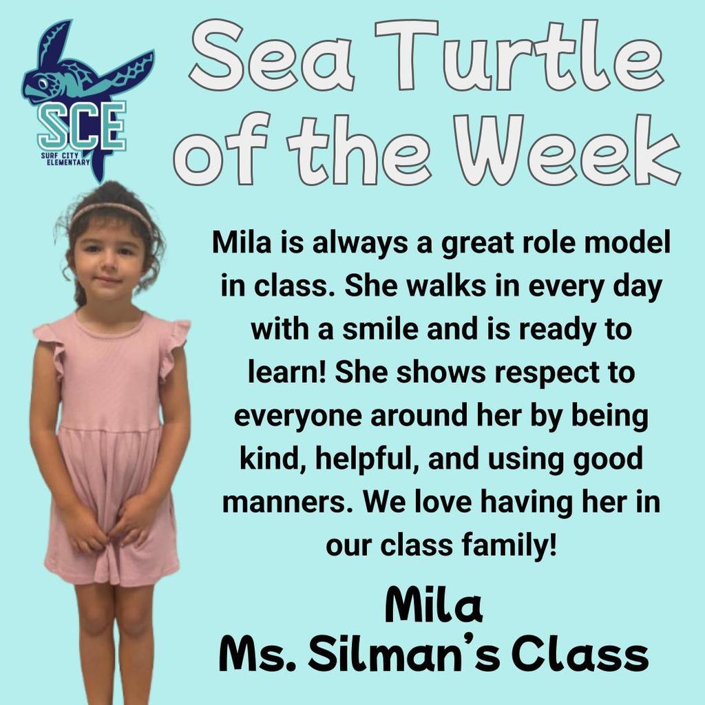 sea turtle of the week announcement