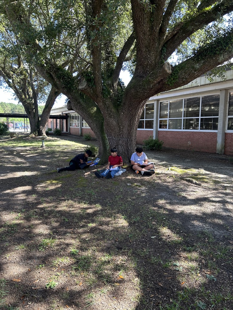 Working on their travel brochures for their colonies!